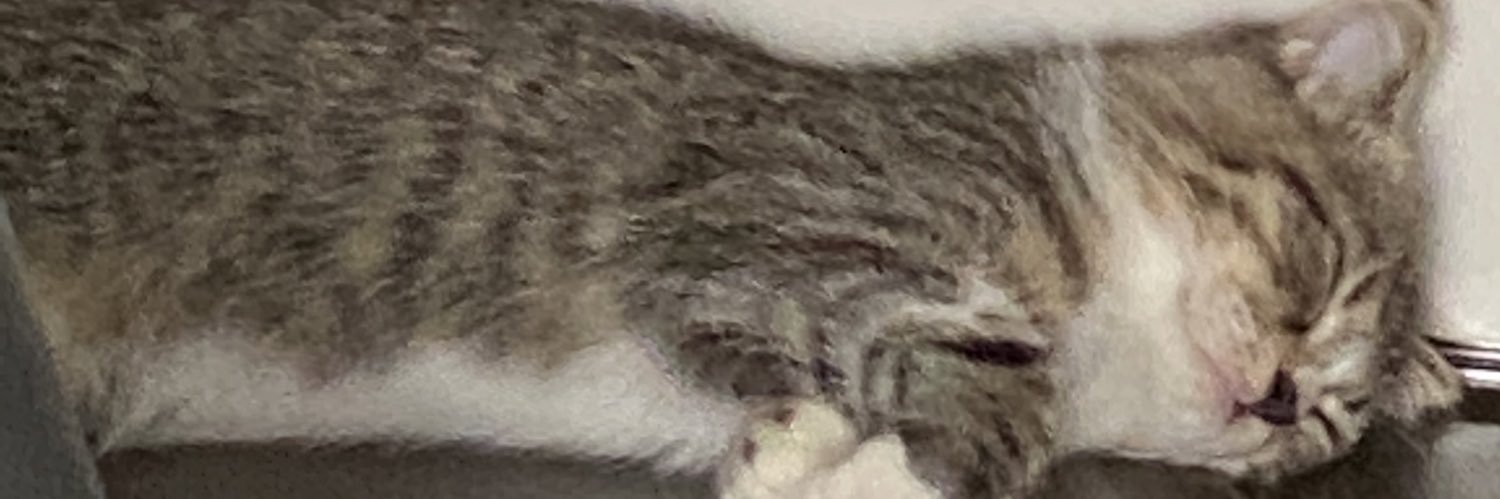 Gee_eeN's profile banner image