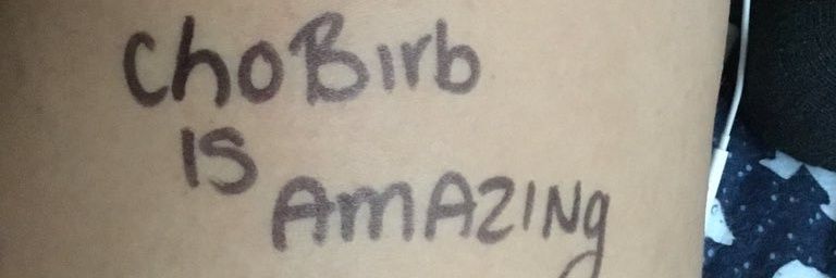 ChoBirb's profile banner image