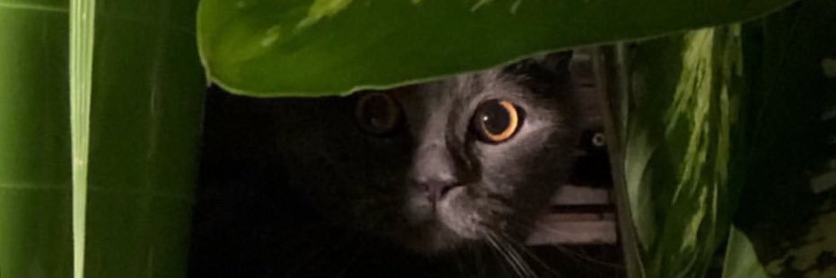aycaaklar's profile banner image