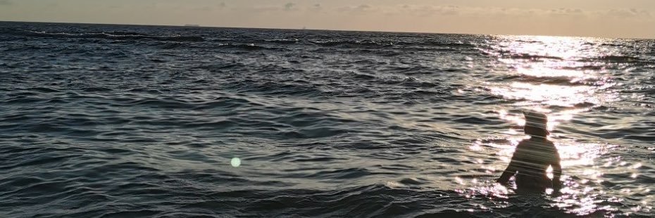 annunaanna's profile banner image