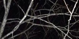 DylanRPGMSU's profile banner image