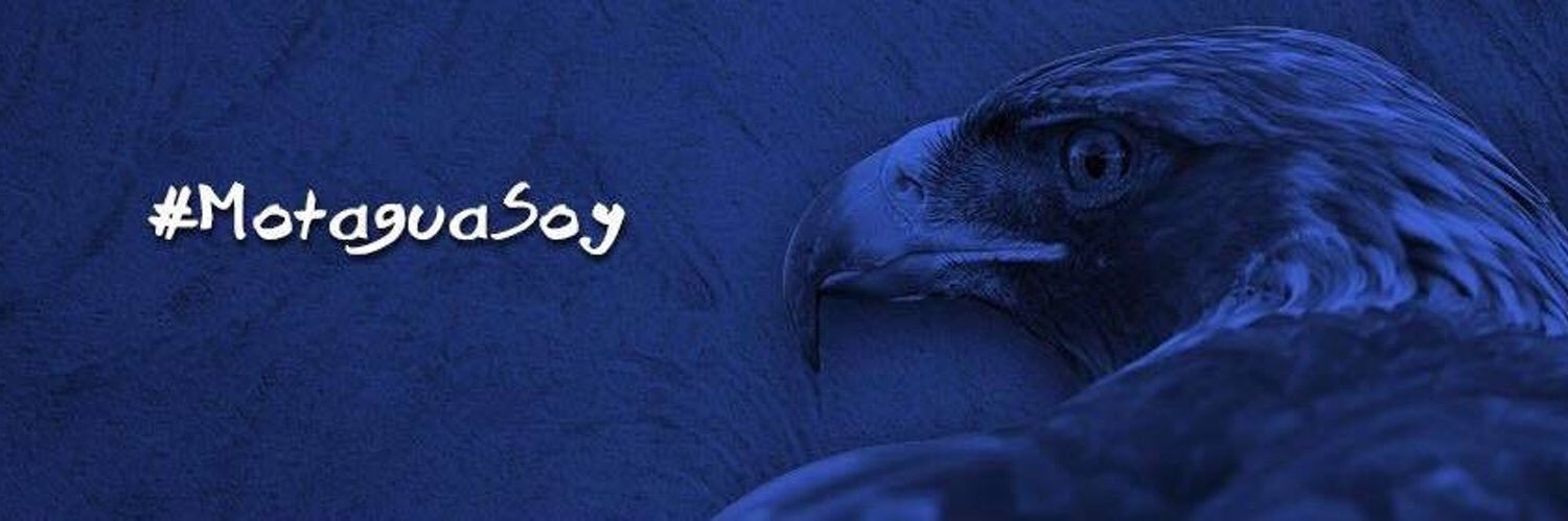 Mister_Hugo's profile banner image