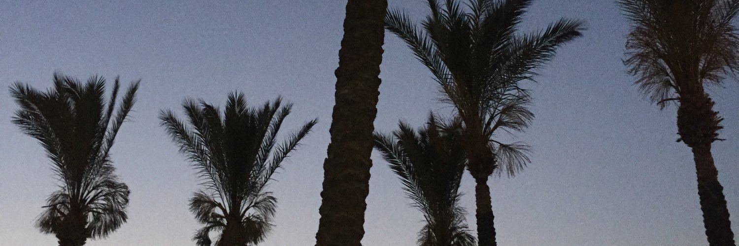 Vicky Fairhead banner