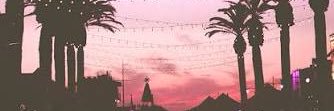 zellym30's profile banner image