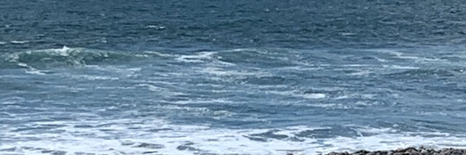 LaSpiaggia's profile banner image