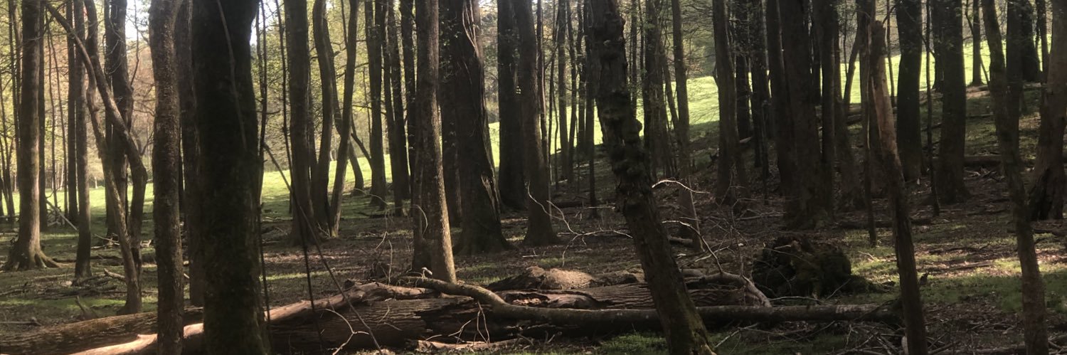 tyler_motes's profile banner image