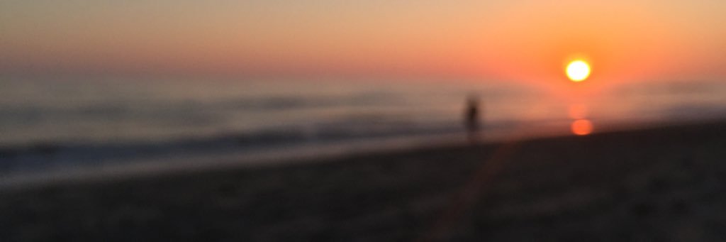 Alissa Shaw banner