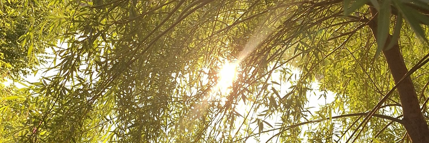 ami_osh's profile banner image