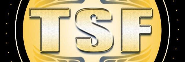 _TEAMSOFLYY's profile banner image