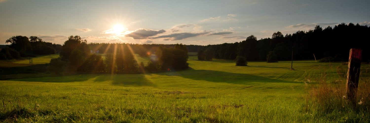 DagmarDolejsi's profile banner image