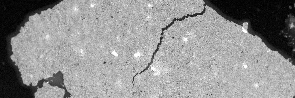 Neus G. Bastús banner