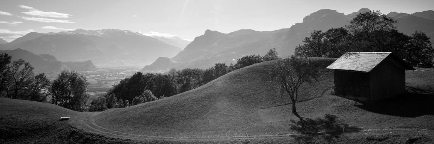 FMA Liechtenstein banner
