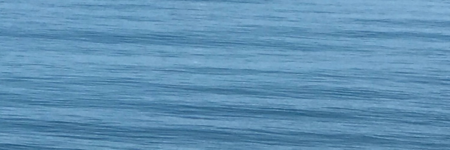 Livettee's profile banner image