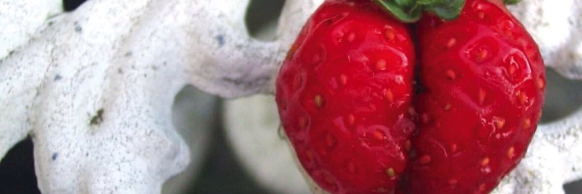 RudeStrawberry's profile banner image
