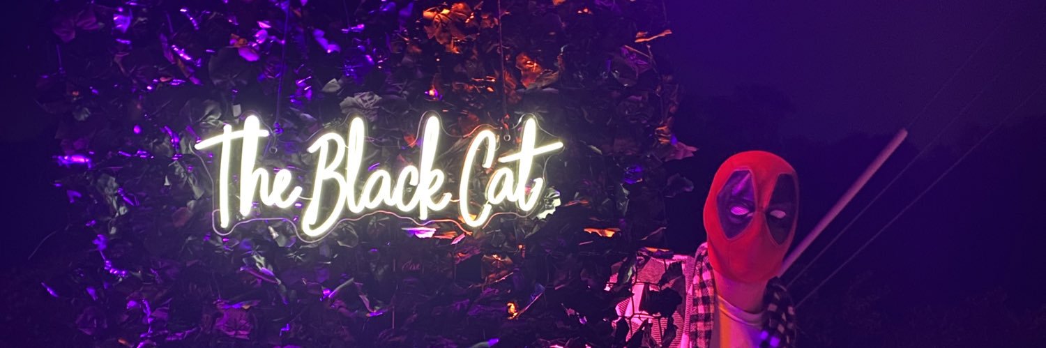 bailey 👾 banner