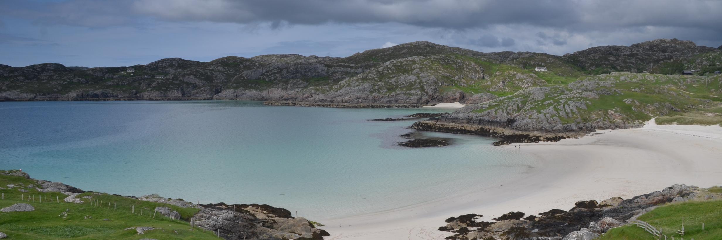 Simon Tollington banner