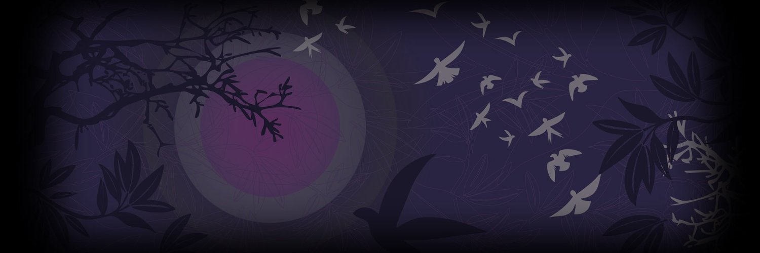 VaviWeb3's profile banner image