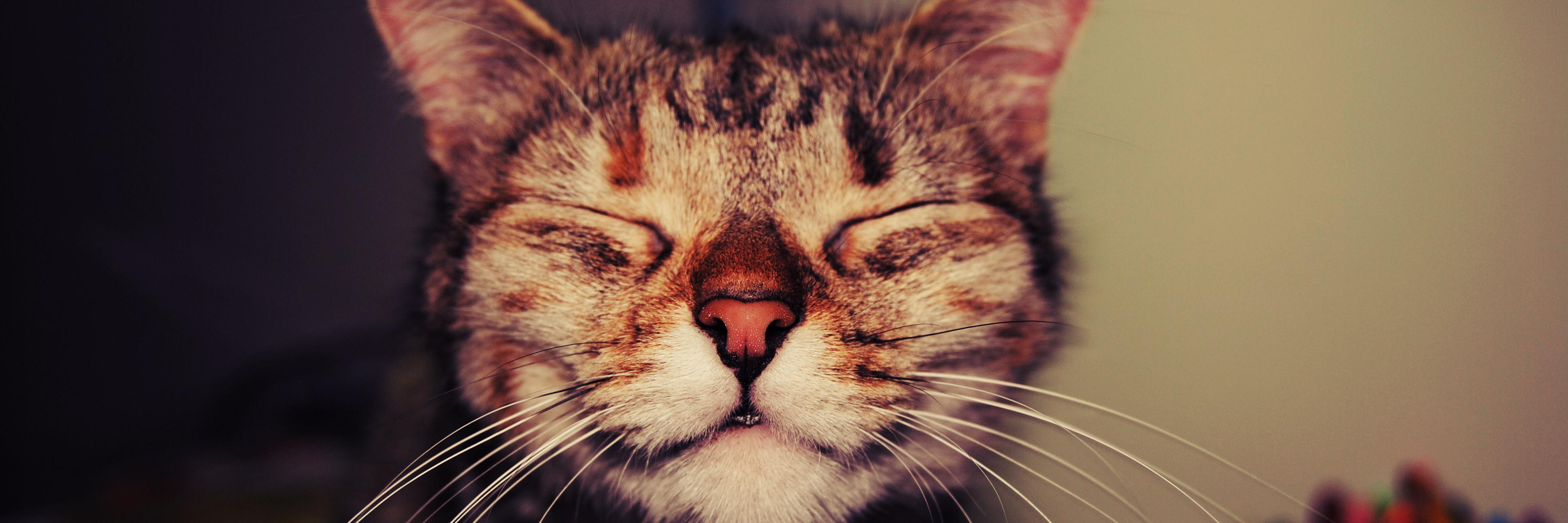 hubwardspin's profile banner image
