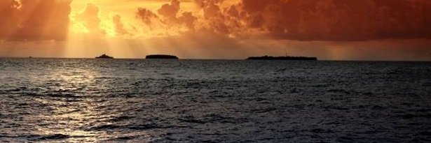 PIGMALION1107's profile banner image