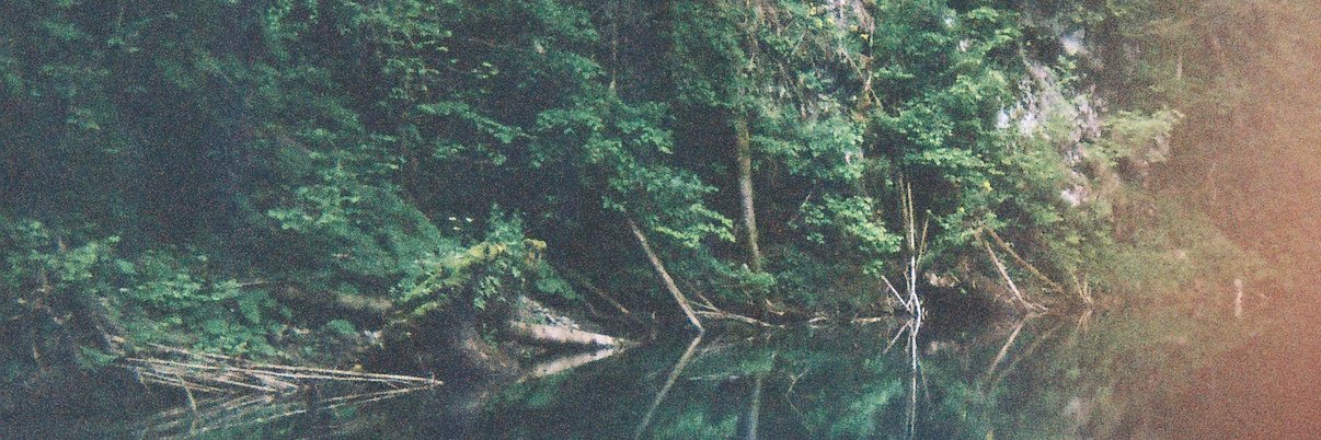 ladislavnov's profile banner image