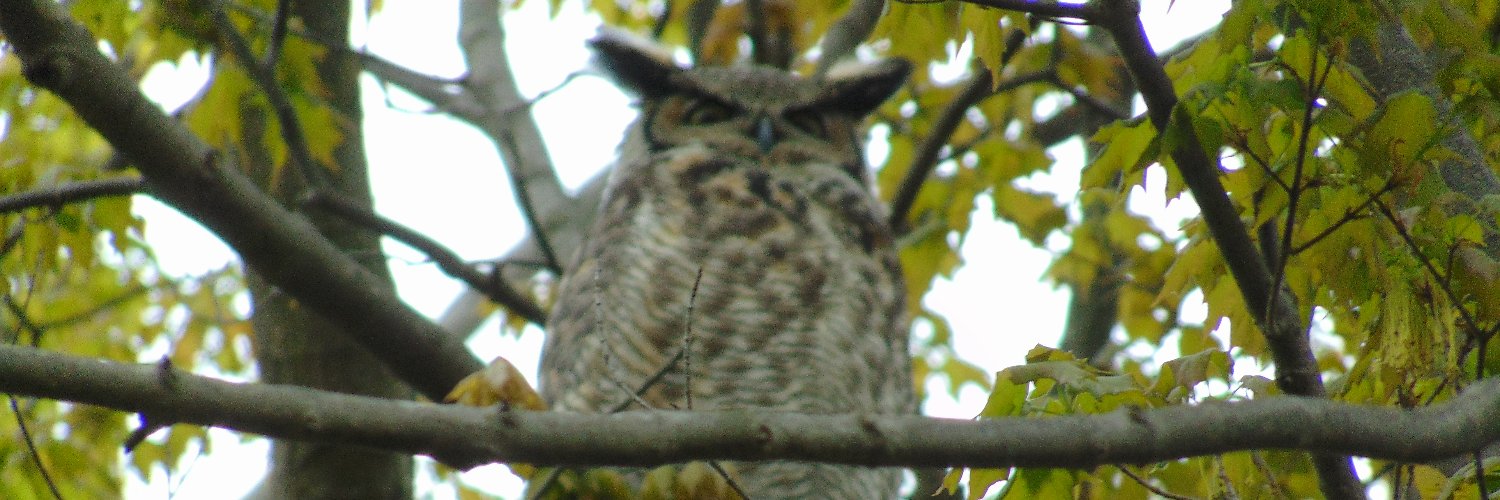 London EnvEd Centre banner