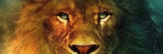 ThePaReign's profile banner image