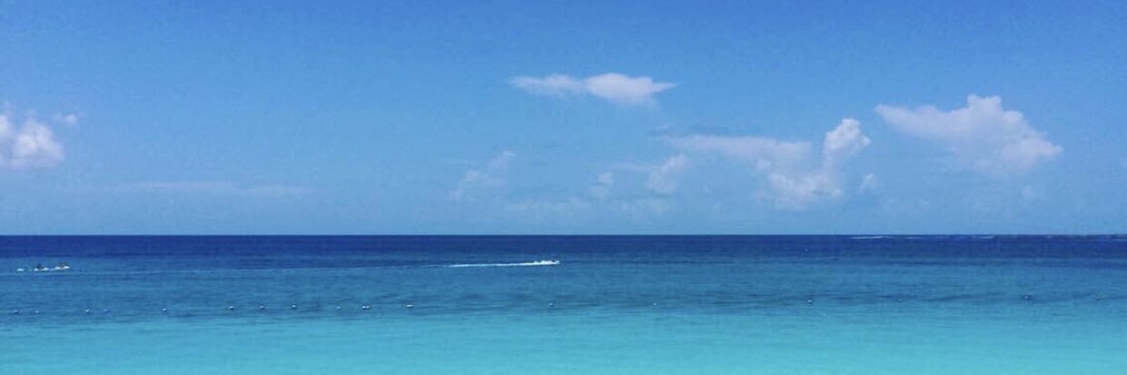 lumpyguac's profile banner image