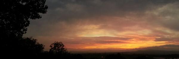 TEEDE Profile Banner