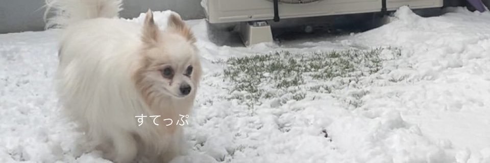 kaebekobe's profile banner image