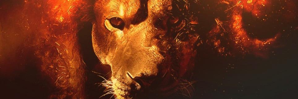 GSmaci's profile banner image