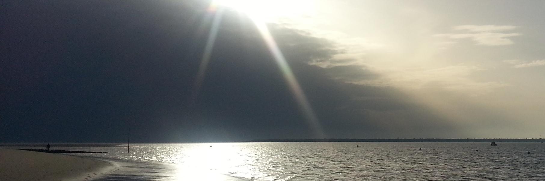 unbrindherbe's profile banner image
