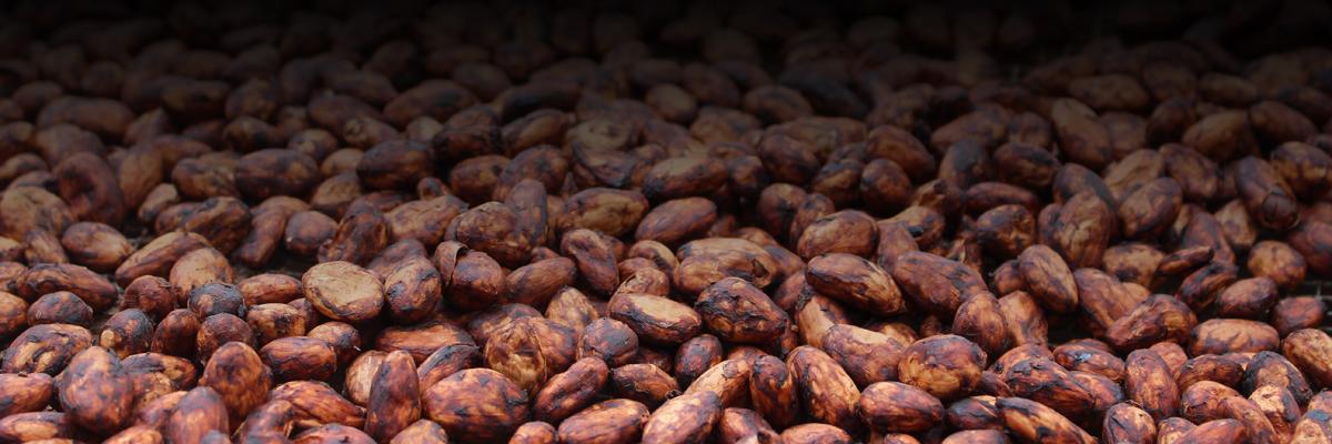 BeanToBarUK's profile banner image