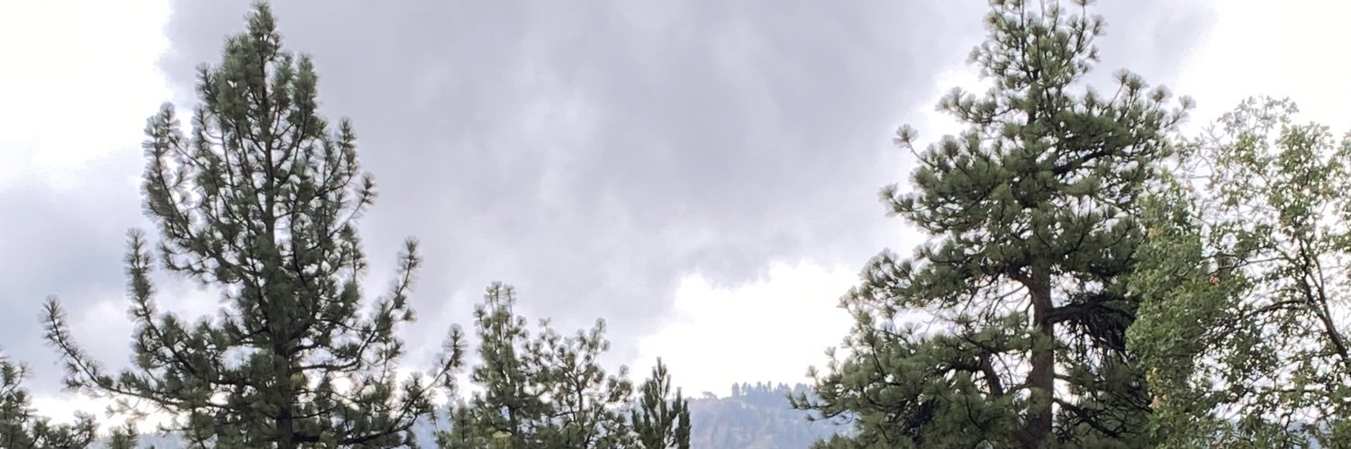 oodarlynx's profile banner image
