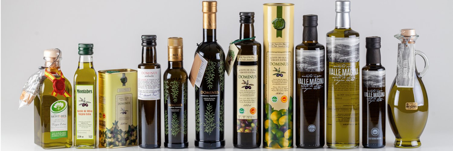 Dominusvirgenextra banner