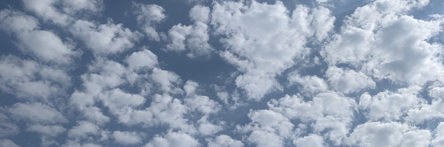 Laura_Shanley's profile banner image