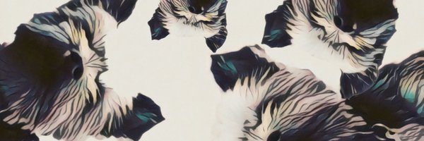 Adoankim Profile Banner