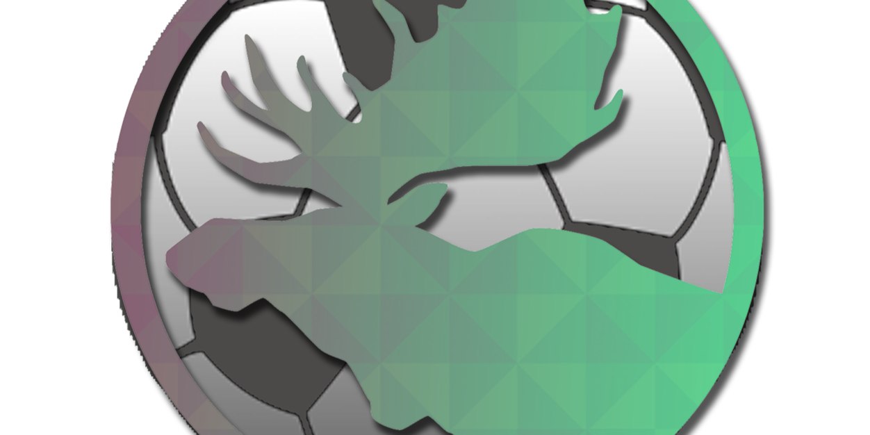 VokomChampionsLeague banner