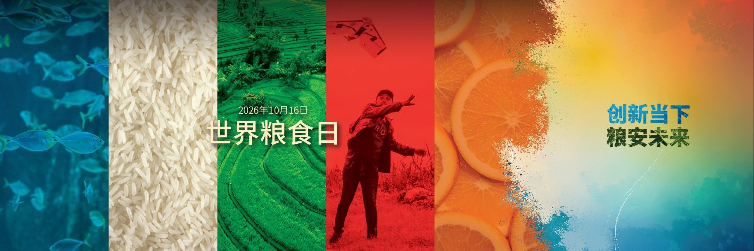 FAOChinese's profile banner image