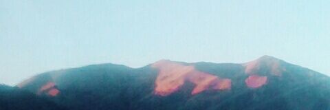 greenbeen_0's profile banner image