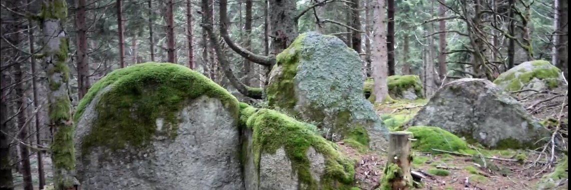 Th de Charentenay banner