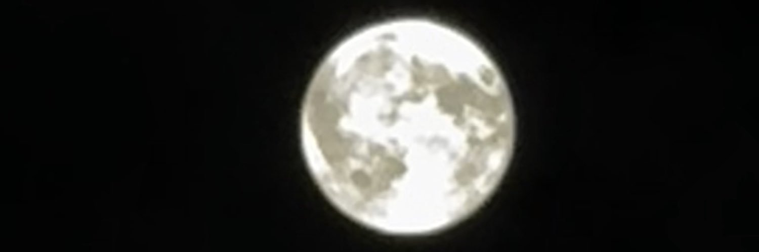 meelee banner