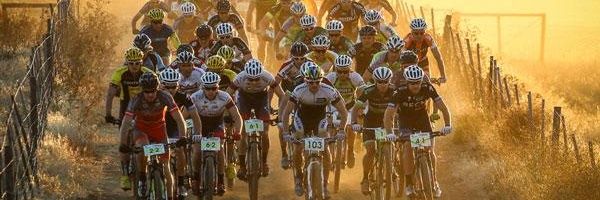 Dave van den Berg banner