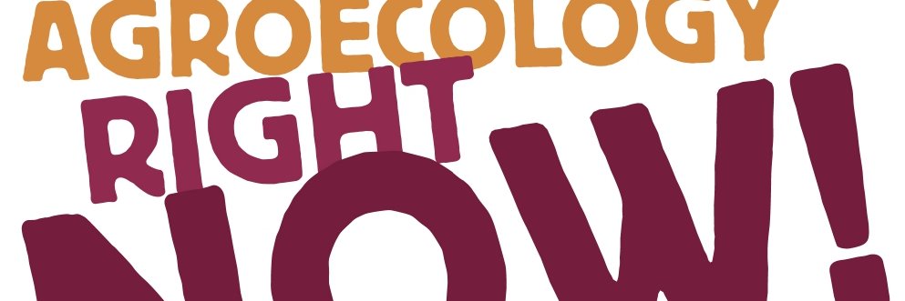 Désertif'actions banner