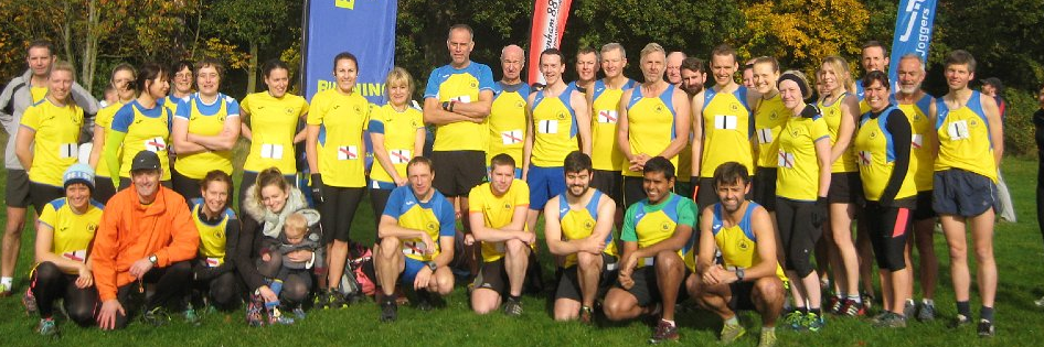 Billericay Striders banner
