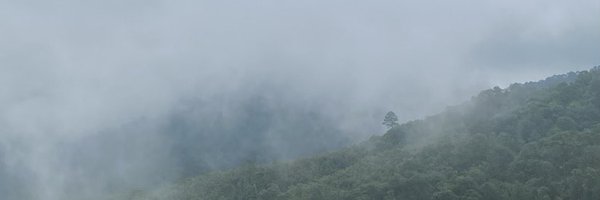 leodavila0 Profile Banner