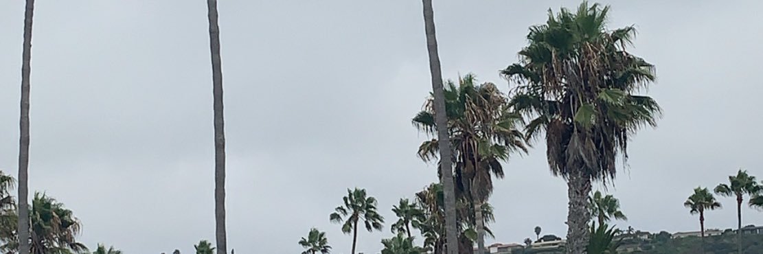 ryyybearrr's profile banner image