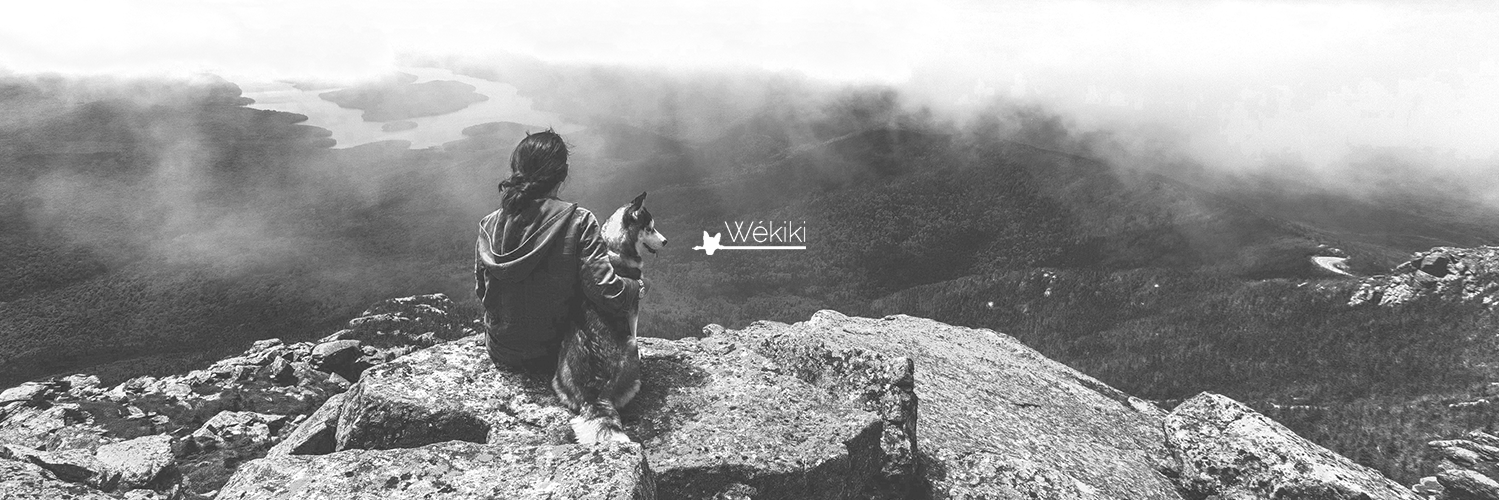 wekiki_traceur's profile banner image