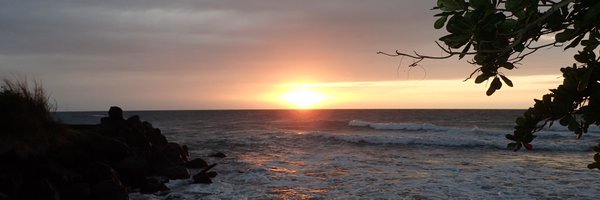 MorganLCarroll Profile Banner