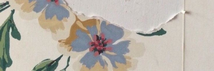 daymmgurl's profile banner image