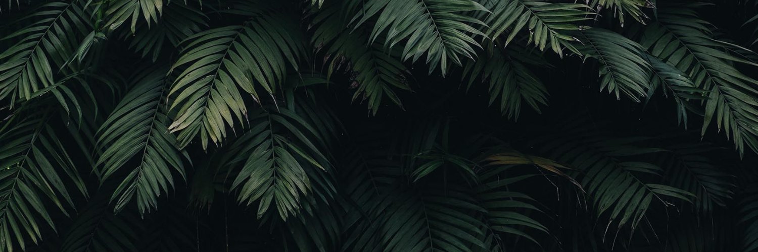 nergalitos's profile banner image